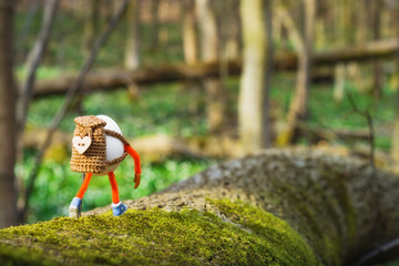 Easter egg walking in a spring forest