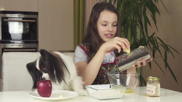 Teen girl and dog Papillon prepare cookies, knead the dough stock footage video