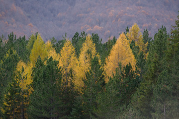 parco nazionale d'Abruzzo