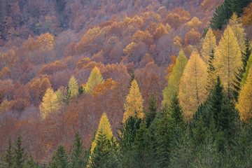 parco nazionale d'Abruzzo