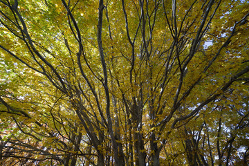 parco nazionale d'Abruzzo