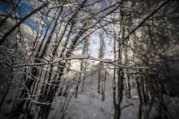 parco nazionale d'Abruzzo