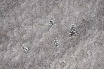 parco nazionale d'Abruzzo