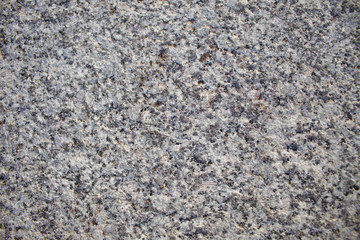 Background with cement texture, place for text
