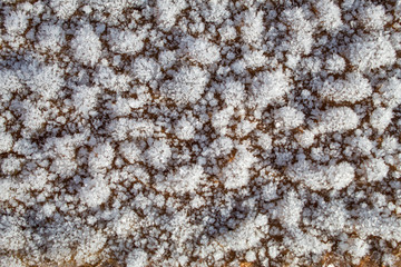 Background with wood texture and snow, place for text