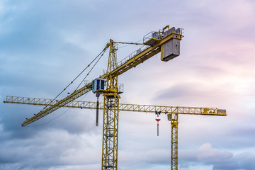 Two isolated cranes with the background of a wintry sky
