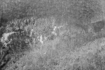 parco nazionale d'Abruzzo