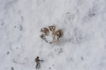 parco nazionale d'Abruzzo
