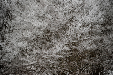 parco nazionale d'Abruzzo