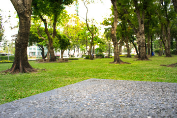 Side angle view of breccia table on foreground and public park in the background.