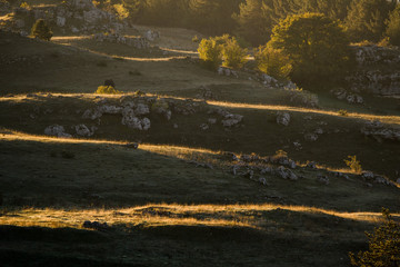 parco nazionale d'Abruzzo