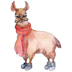 Obraz premium Cartoon character lama animal in a watercolor style. Watercolor background illustration set. Isolated llama element.
