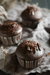 Chocolate Muffins on the Table