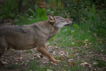 parco nazionale d'Abruzzo