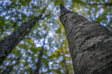 parco nazionale d'Abruzzo