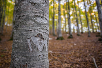 parco nazionale d'Abruzzo