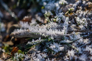 parco nazionale d'Abruzzo