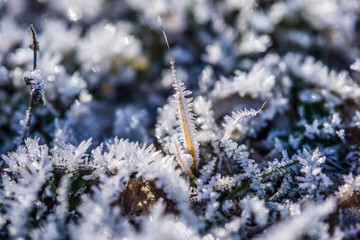 parco nazionale d'Abruzzo
