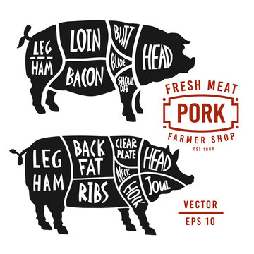 Meat cuts of pork. Vector pig silhouette isolated on white background. Vintage Poster for butcher shop. Poster pork cutting scheme lettering in vintage style.