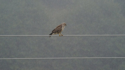 parco nazionale d'Abruzzo
