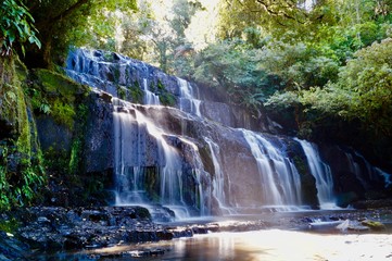 Fototapeta premium waterfall nz