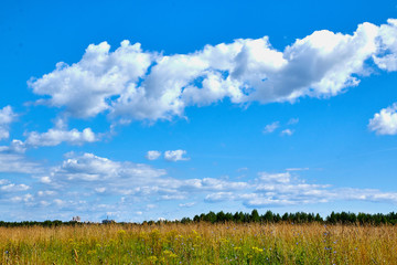 Fototapeta premium Blue sky with clouds in a nice day. Closeup