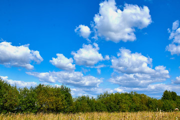 Obraz premium Blue sky with clouds in a nice day. Closeup