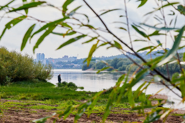 Willow branch and river with the city on the other side in a summer