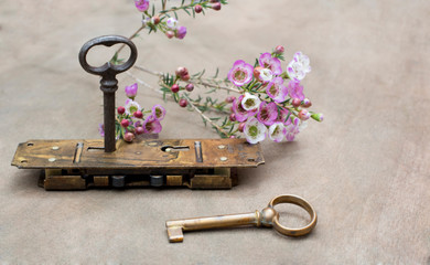 Old lock with two keys with flowers