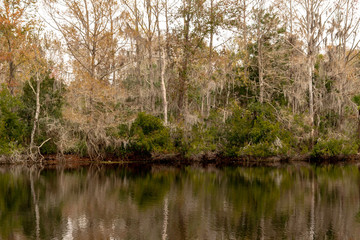 Fototapeta na wymiar Econlockhatchee River Orlando Florida 