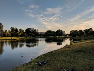 landscape with a lake