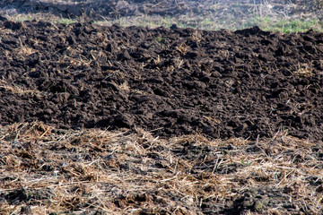 Pile of fresh animal manure on field preparetion for planting vegetables