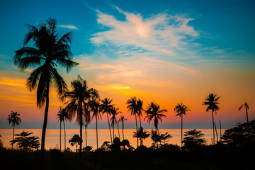 Fototapeta na wymiar Palm trees at sunset, Koh Chang