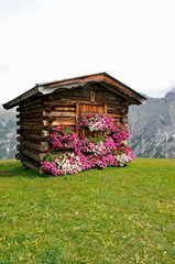 Fototapeta na wymiar blumengeschmückte blockhütte neben elferhütte über dem stubaital