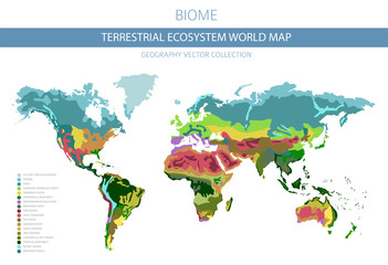 Terrestrial ecosystem world map. Biome. World climatic zone infographic design
