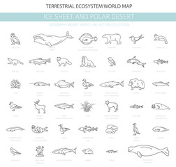 Ice sheet and polar desert biome. Simple line style. Terrestrial ecosystem world map. Arctic animals, birds, fish and plants infographic design