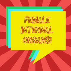 Conceptual hand writing showing Female Internal Organs. Business photo showcasing The internal genital structures of the Stack of Speech Bubble Different Color Piled Text Balloon
