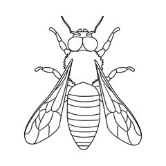 Vector design of insect and fly icon. Collection of insect and element vector icon for stock.