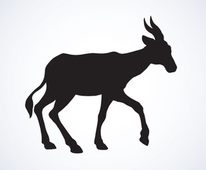 Antelope. Vector illustration