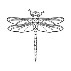 Isolated object of insect and fly symbol. Collection of insect and element vector icon for stock.