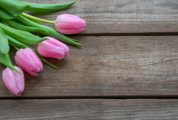 Pink Tulips on  a rustic wooden background