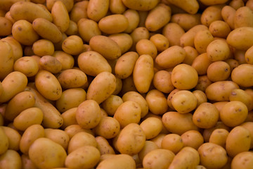 Patatas  de la huerta en el mercado
