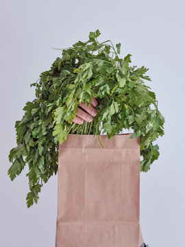 Person hand reached out from packet and holding parsley