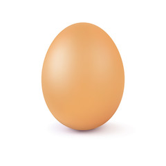 Realistic vector brown egg