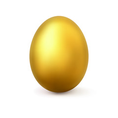 Realistic vector golden egg