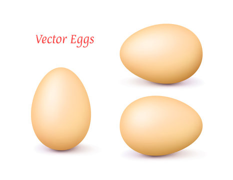 Realistic vector light brown 3d egg with a different position