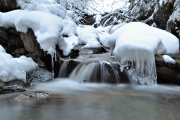 Bach im Winter