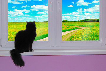 Black cat looking at window with view to rural road. Rural summer landscape