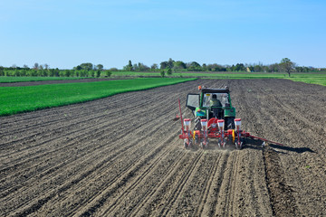 Fototapeta premium Farmer with tractor sows corn