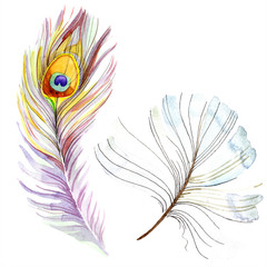 Obraz premium Colorful bird feather from wing isolated. Watercolor background illustration set. Watercolour drawing fashion aquarelle.